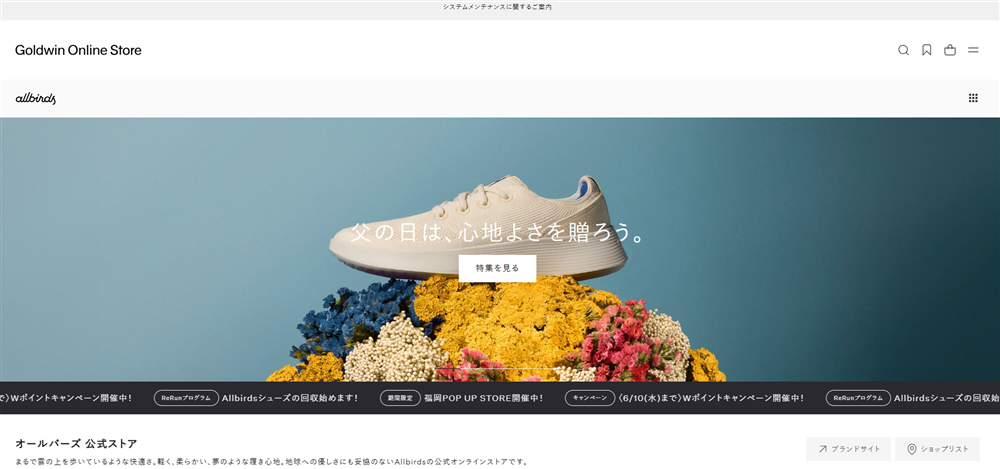 Allbirds